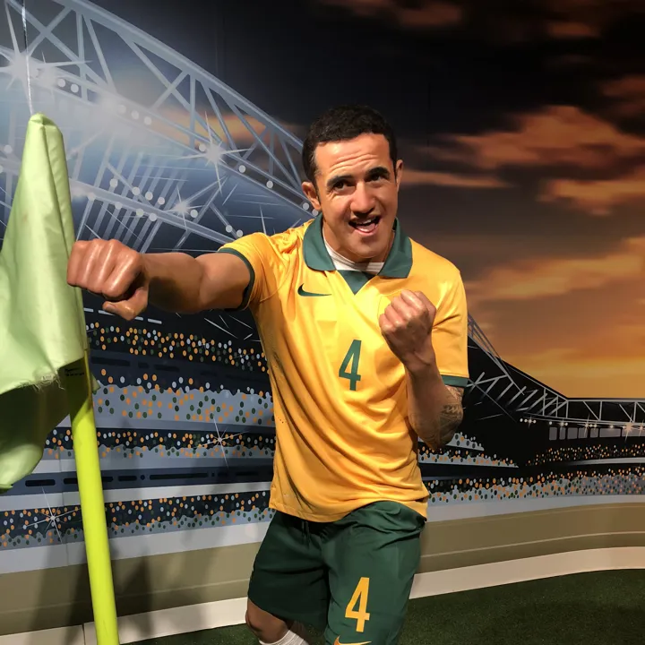 tim cahill punching corner flag