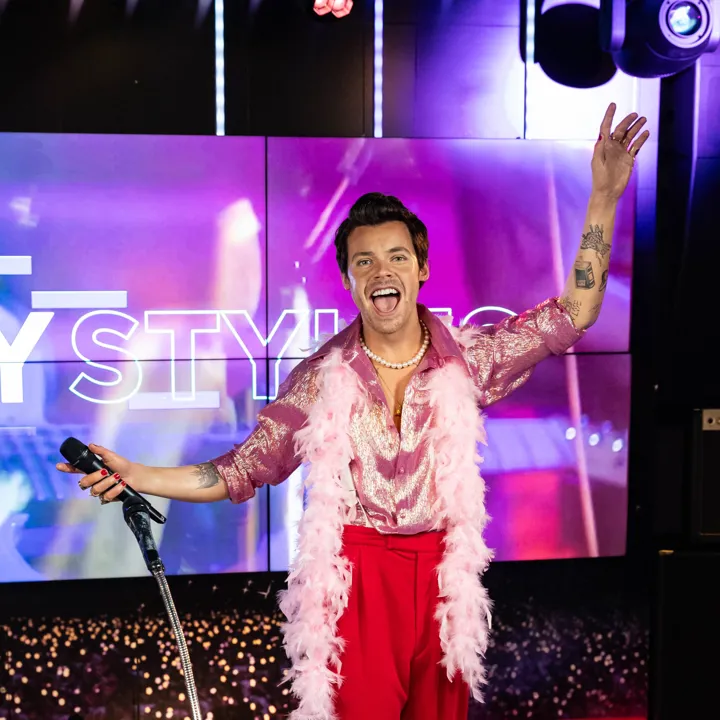 Harrystyles Benholgate 5361